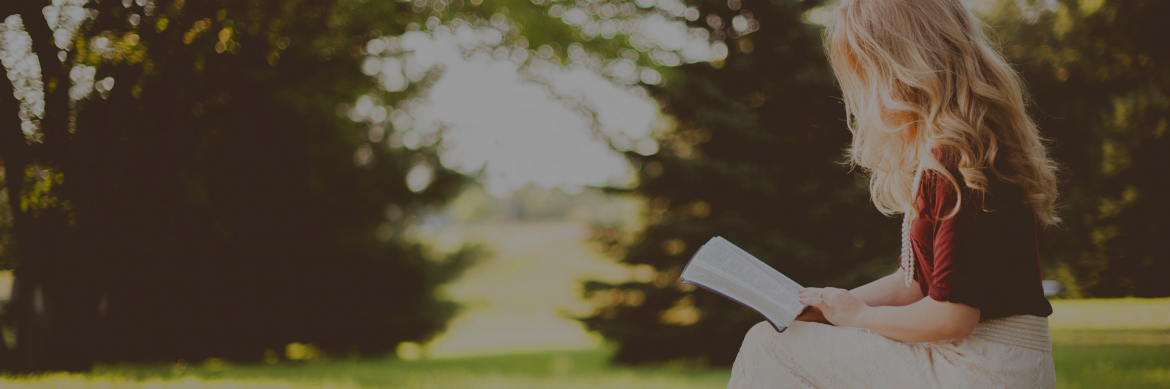 banner-2.png