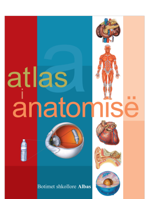 Atlas i anatomisë
