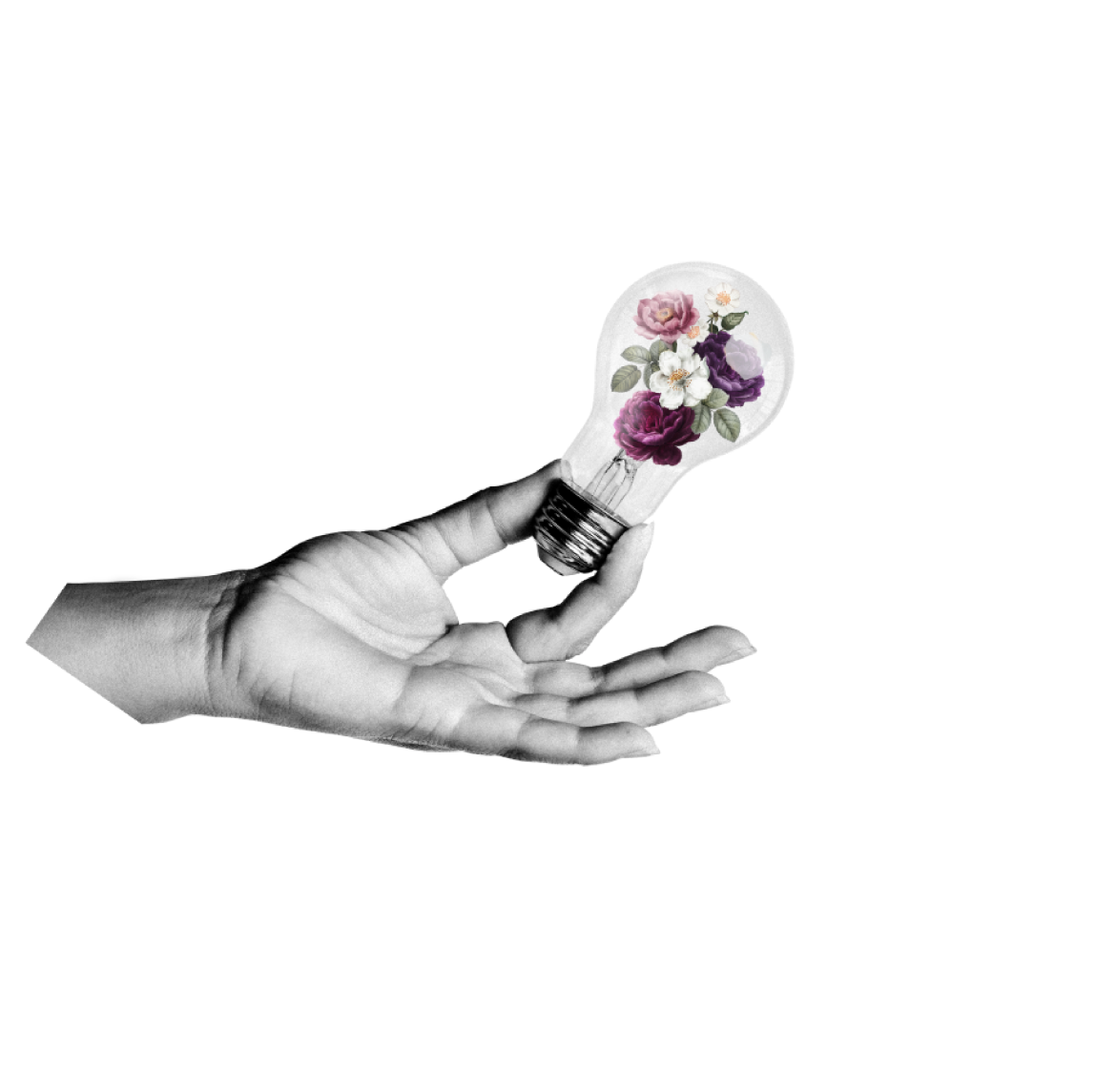 image1.png
